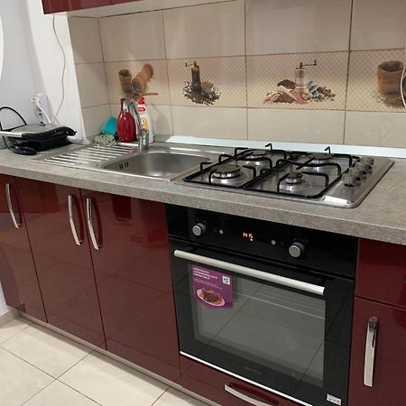 Appartement Garsoniera Natalia à Sibiu Extérieur photo