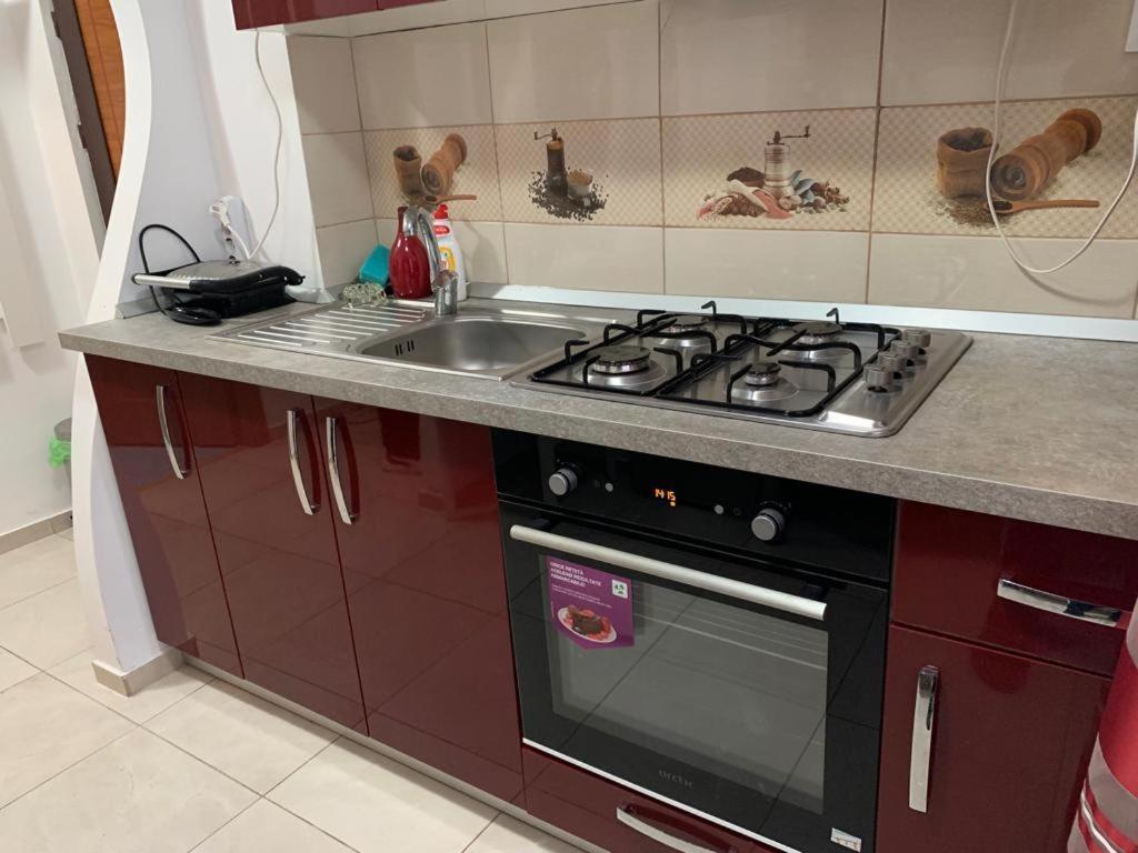 Appartement Garsoniera Natalia à Sibiu Extérieur photo