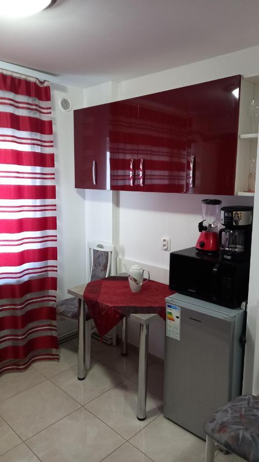 Appartement Garsoniera Natalia à Sibiu Extérieur photo